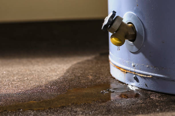 Best Water damage cleanup near me  in Shiremanstown, PA