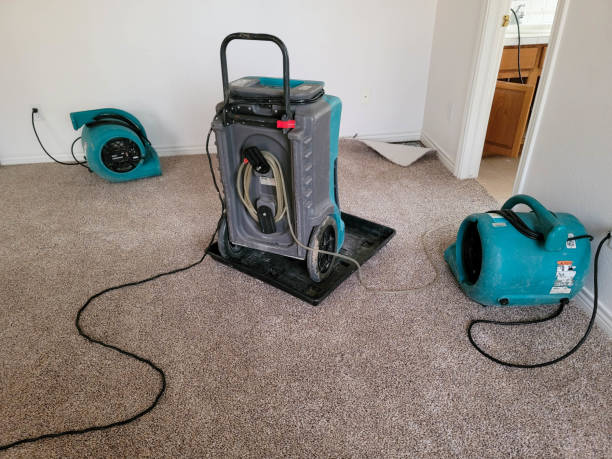 Best Flood damage cleanup  in Shiremanstown, PA