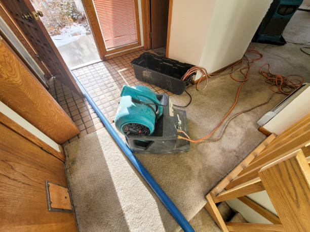 Water damage restoration experts in PA