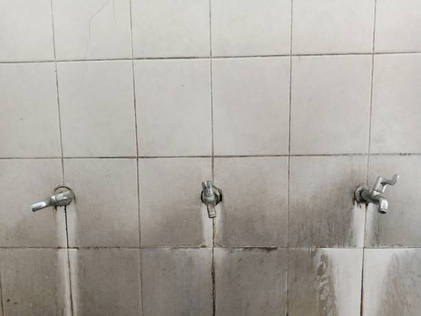 Best Basement water damage restoration  in Shiremanstown, PA