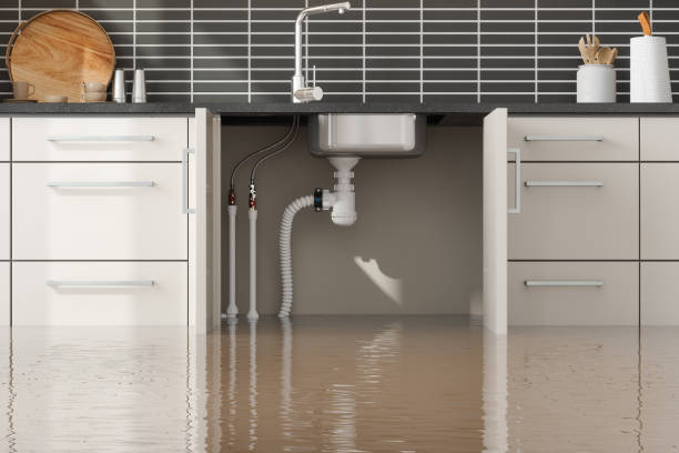 Best Fire Damage Restoration  in Shiremanstown, PA