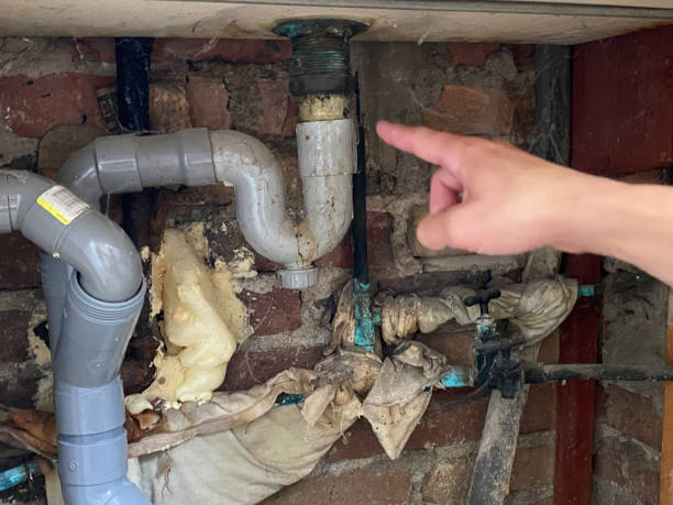Best Water damage repair service  in Shiremanstown, PA