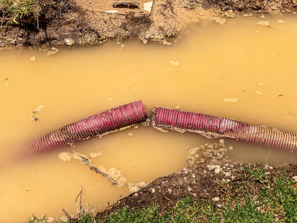 Best Water damage restoration services  in Shiremanstown, PA