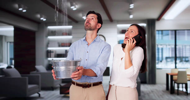 Best Water damage mitigation services  in Shiremanstown, PA