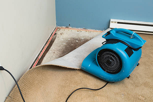 Best Ceiling water damage repair  in Shiremanstown, PA